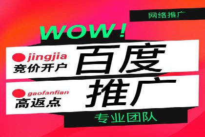 百度推广运营实战攻略：案例教学与优化